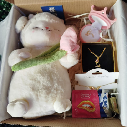 🌷Box Led Tulipan Peluche Kawaii🌷